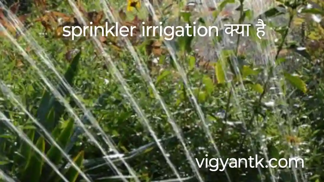 Sprinkler irrigation क्या है