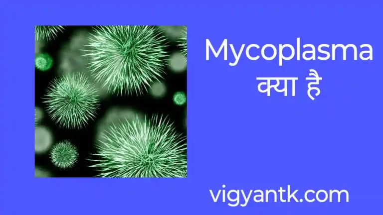 mycoplasm क्या है